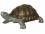 Panzer-Schildkröte aus Bronze